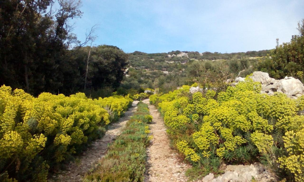 Vila Casula Mediterranea Mali Lošinj Exteriér fotografie